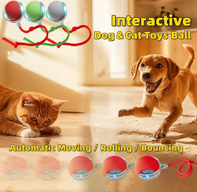 PixelShop® - Pet Interactive Ball