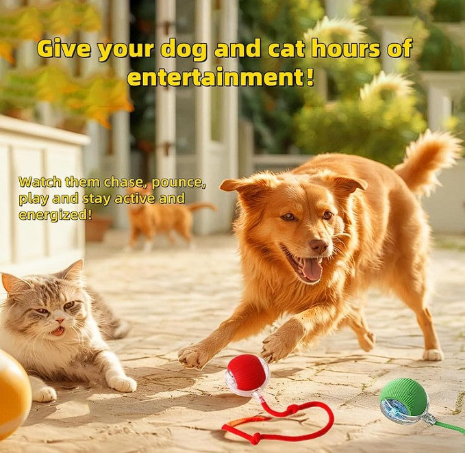 PixelShop® - Pet Interactive Ball