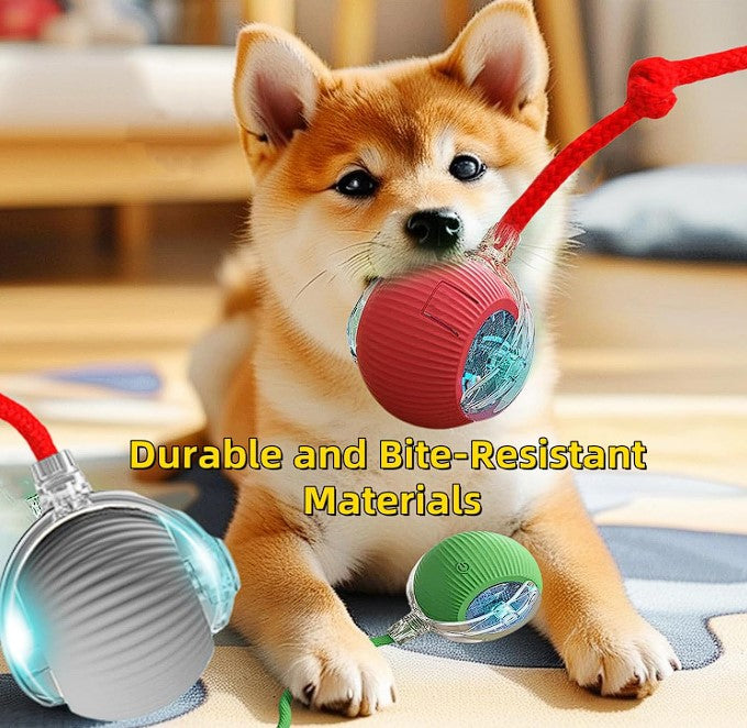 PixelShop® - Pet Interactive Ball