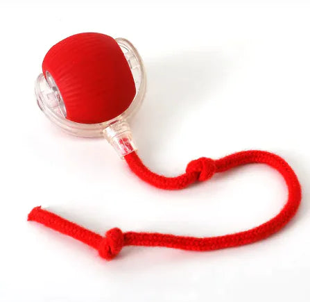 PixelShop® - Pet Interactive Ball