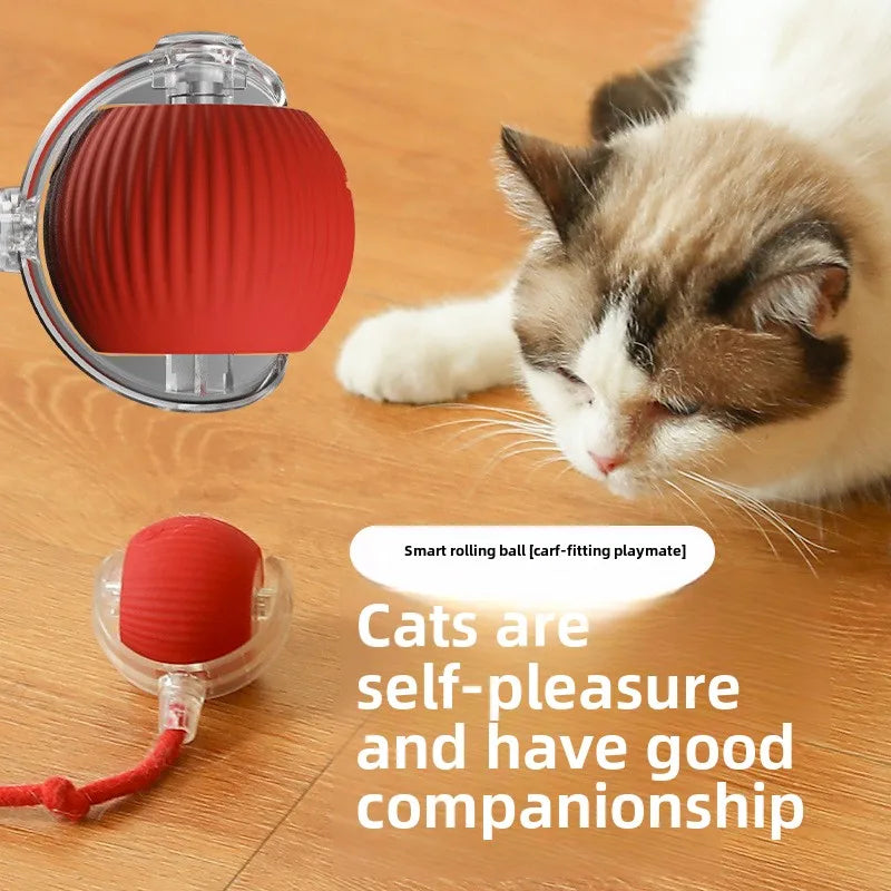 PixelShop® - Pet Interactive Ball