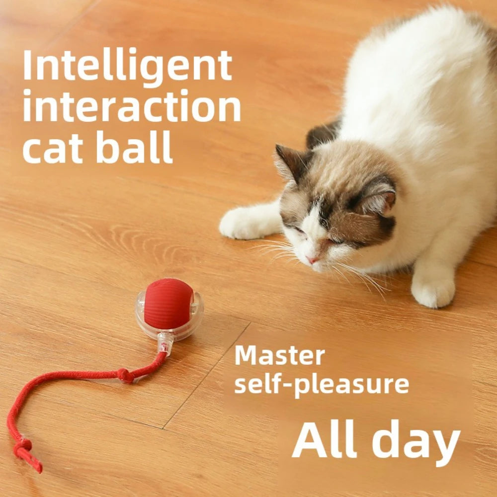 PixelShop® - Pet Interactive Ball