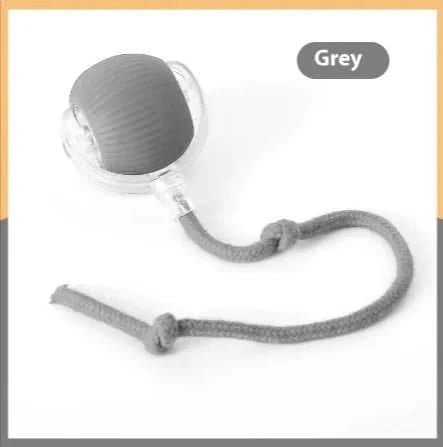 Pet Interactive Ball - PixelShop