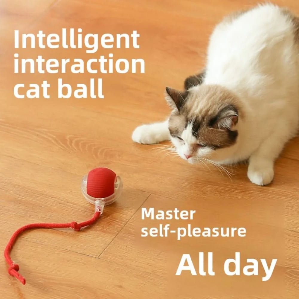 Pet Interactive Ball - PixelShop