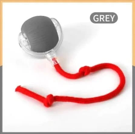 Pet Interactive Ball - PixelShop