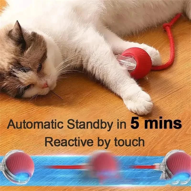 Pet Interactive Ball - PixelShop