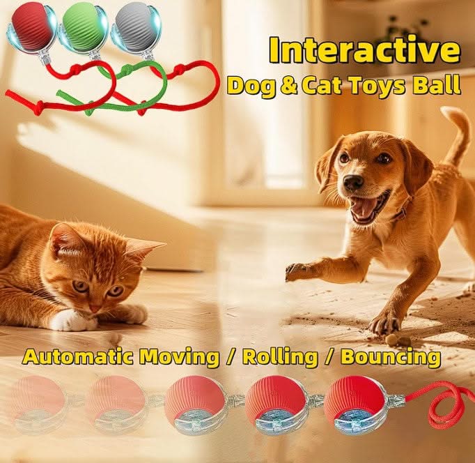 Pet Interactive Ball - PixelShop