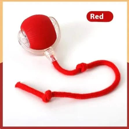 Pet Interactive Ball - PixelShop