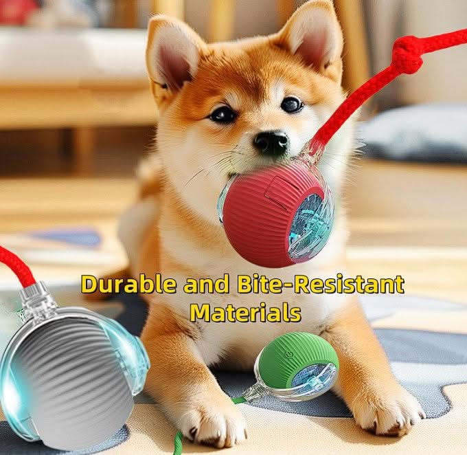 Pet Interactive Ball - PixelShop