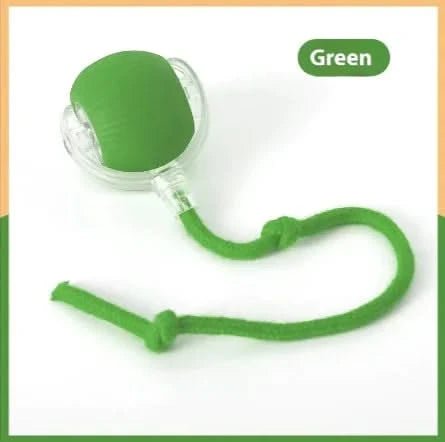 Pet Interactive Ball - PixelShop