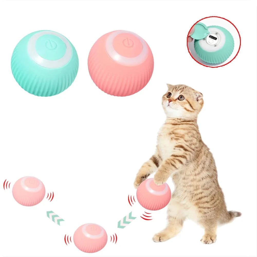 Smart Pet Rotating Ball - PixelShop