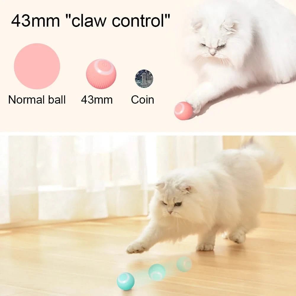 Smart Pet Rotating Ball - PixelShop