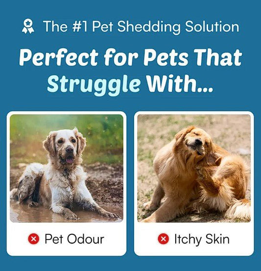 Pet GroomPro™ - PixelShop