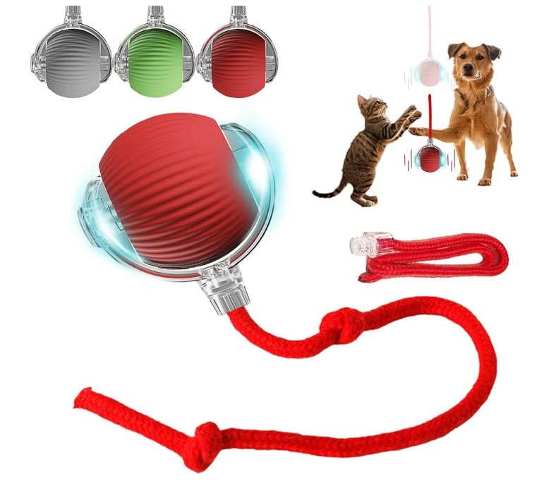 Pet Interactive Ball - PixelShop